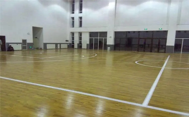 2.排毬館(guan).webp.jpg